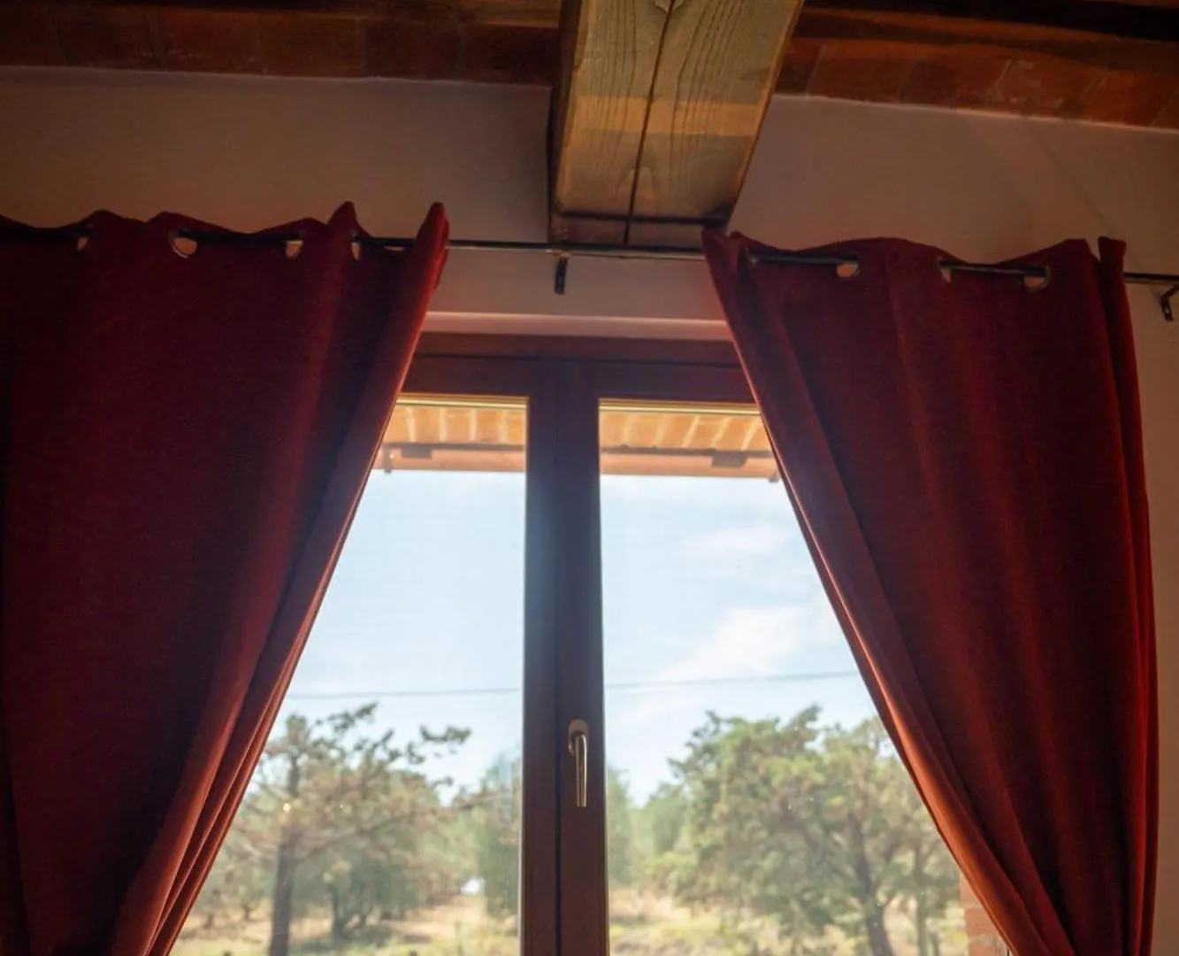 Agriturismo Anfora Della Vita Massa Marittima 0*,