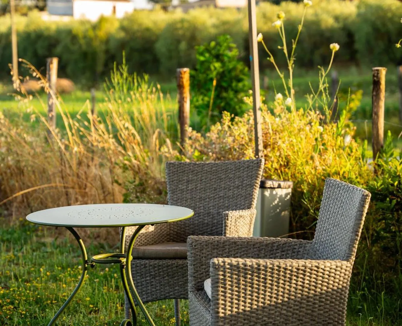 Agriturismo Anfora Della Vita Massa Marittima